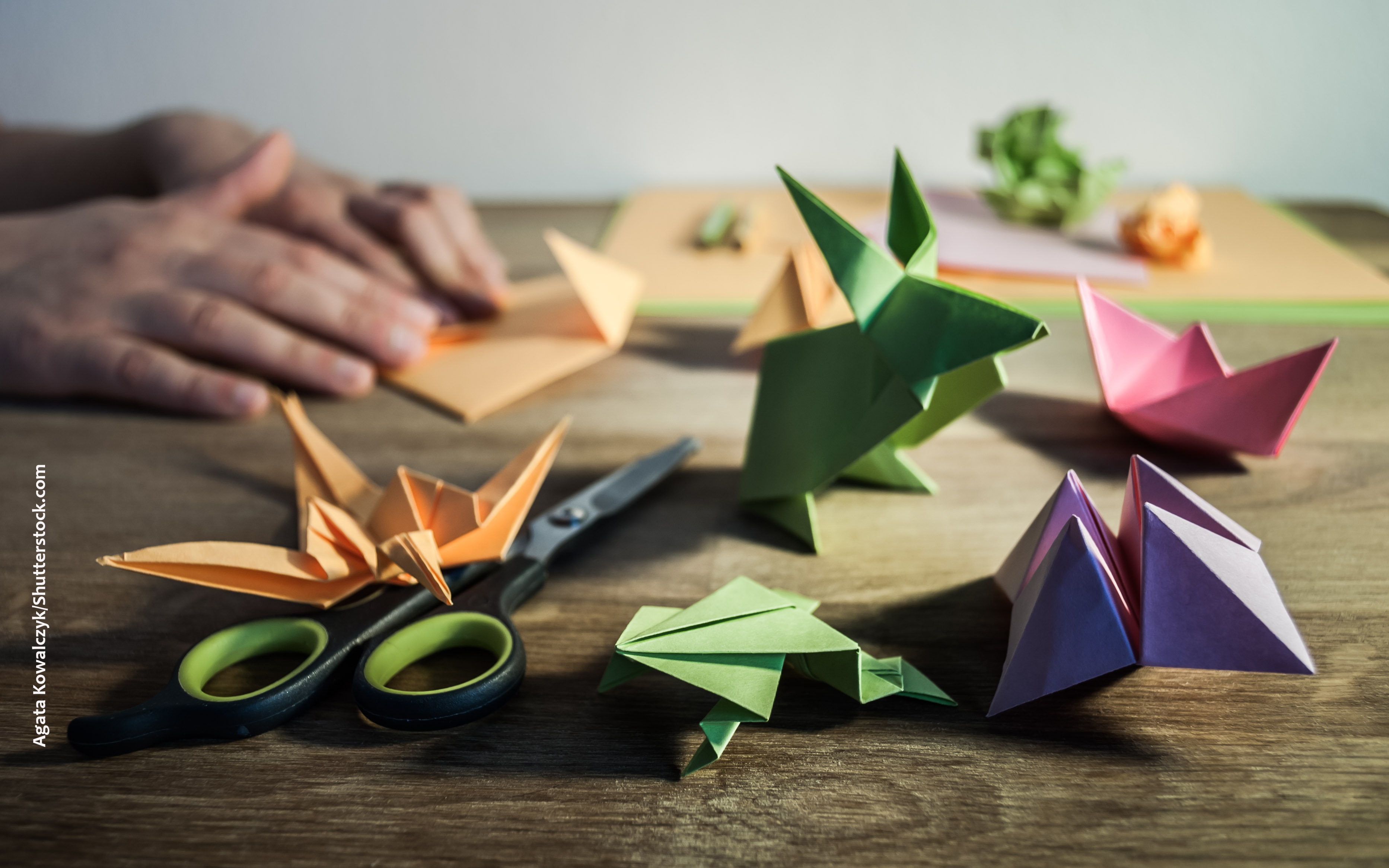 Technology, Health and the Art of Origami