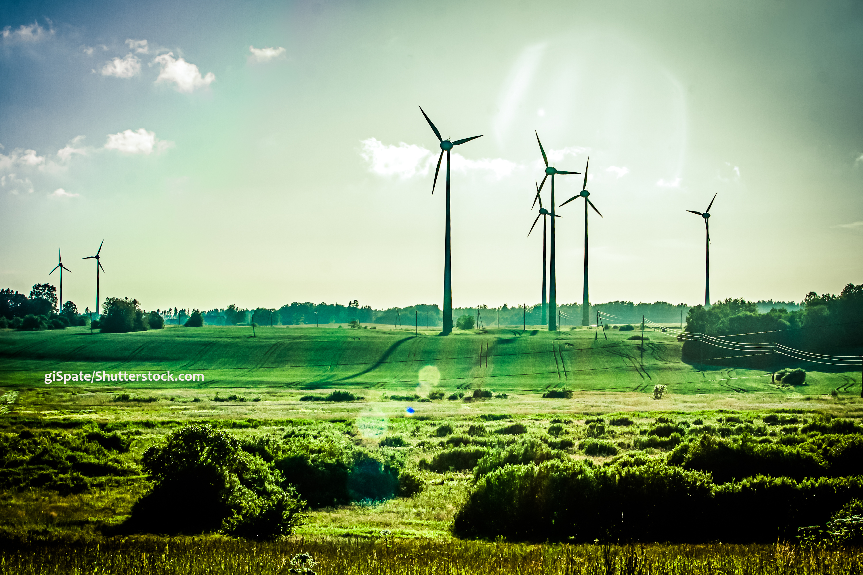 Arie Halpern: energia atrai investimentos das startups