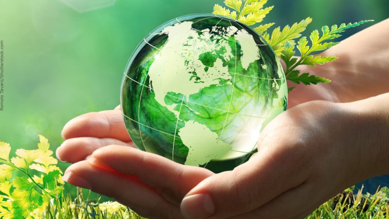 The adaptability of species does not dispense habits change
