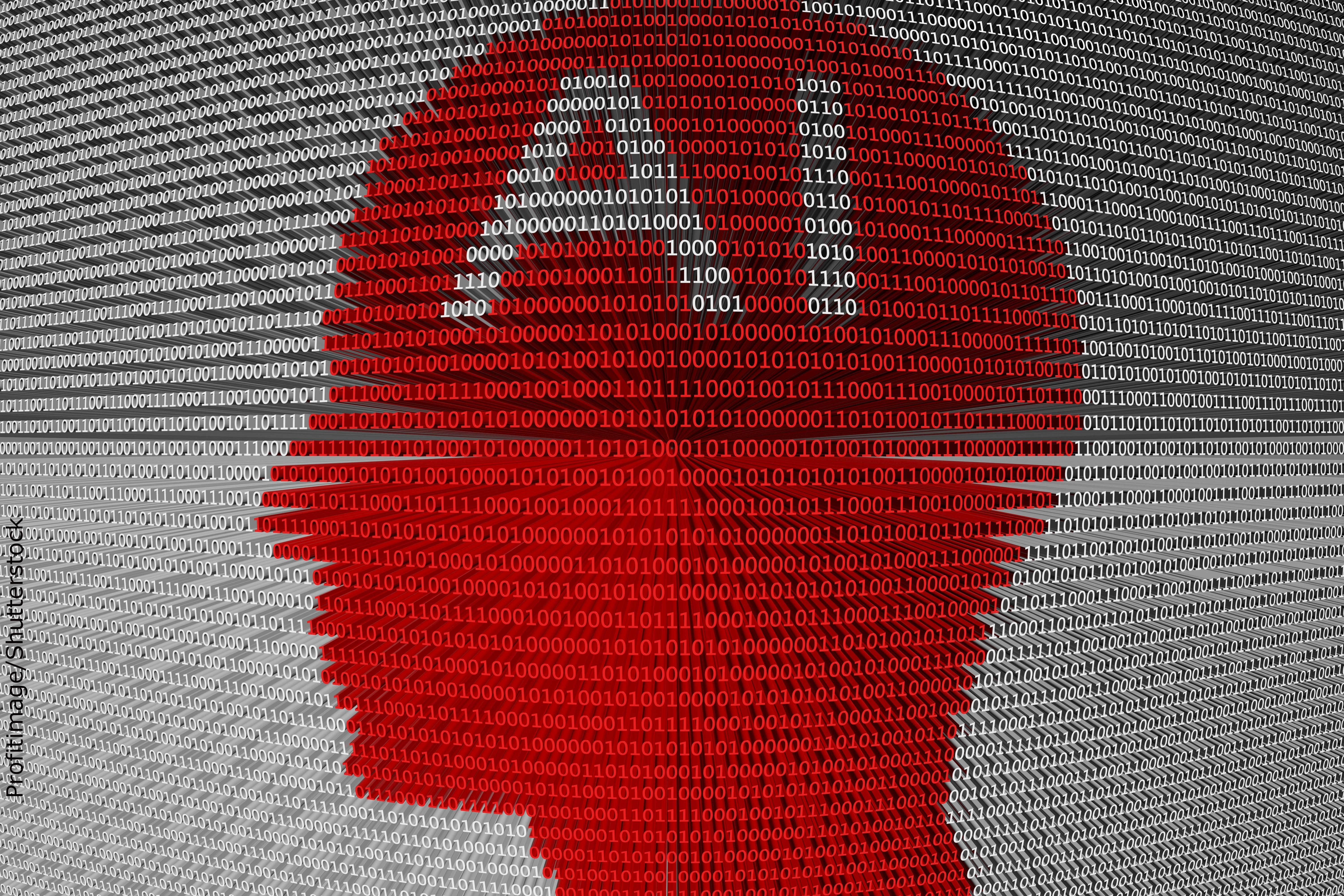 Bill Gates se associa a Elon Musk em busca da inteligência artificial do futuro