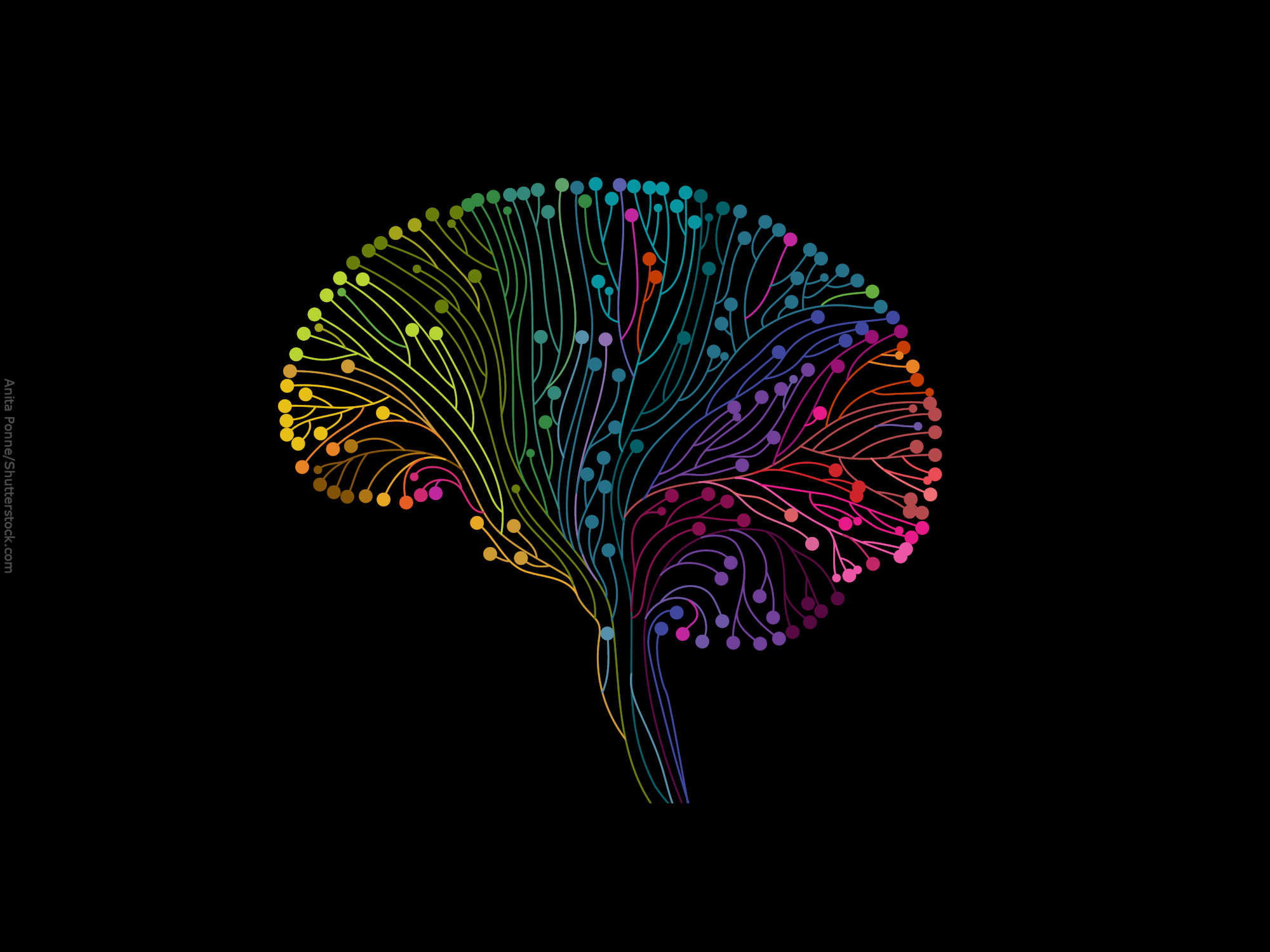 Biomimética vai revolucionar o design industrial nos próximos anos