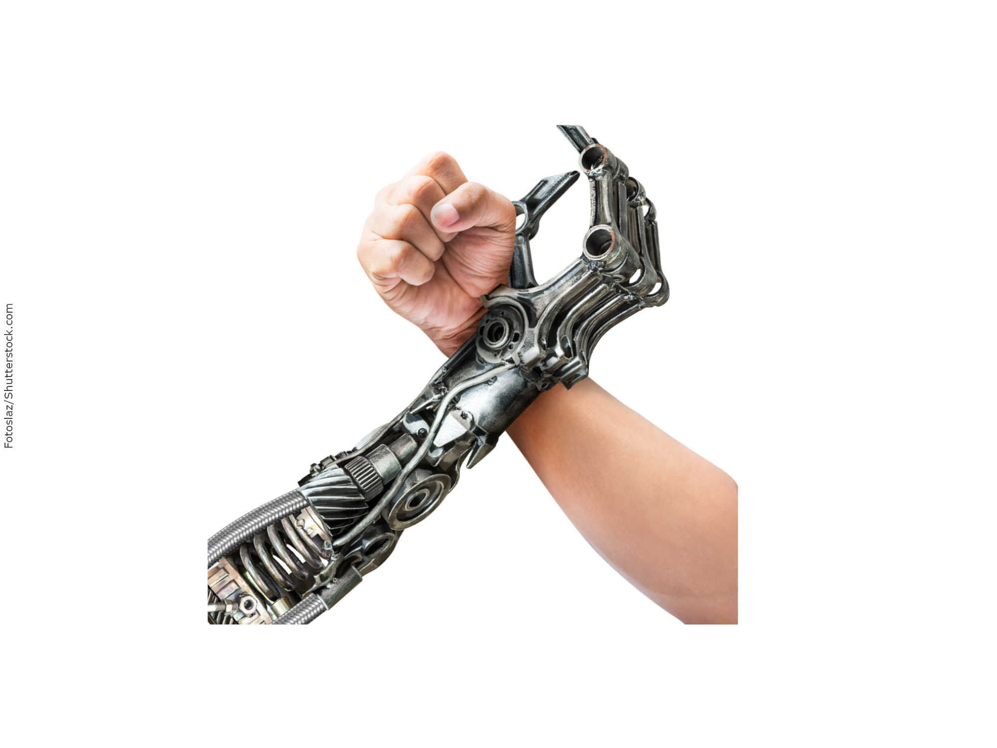 Arie Halpern: os destaques do Wired Festival Brasil