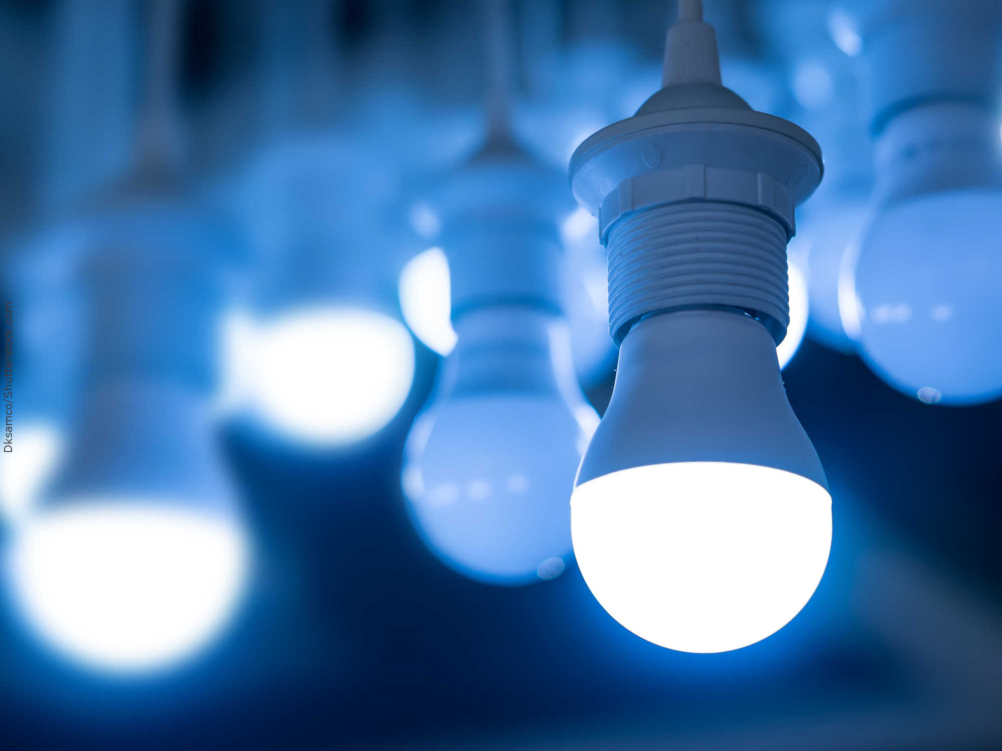 Energia a partir de alga geneticamente modificada