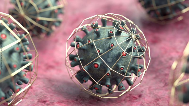 O prêt-à-porter antivírus