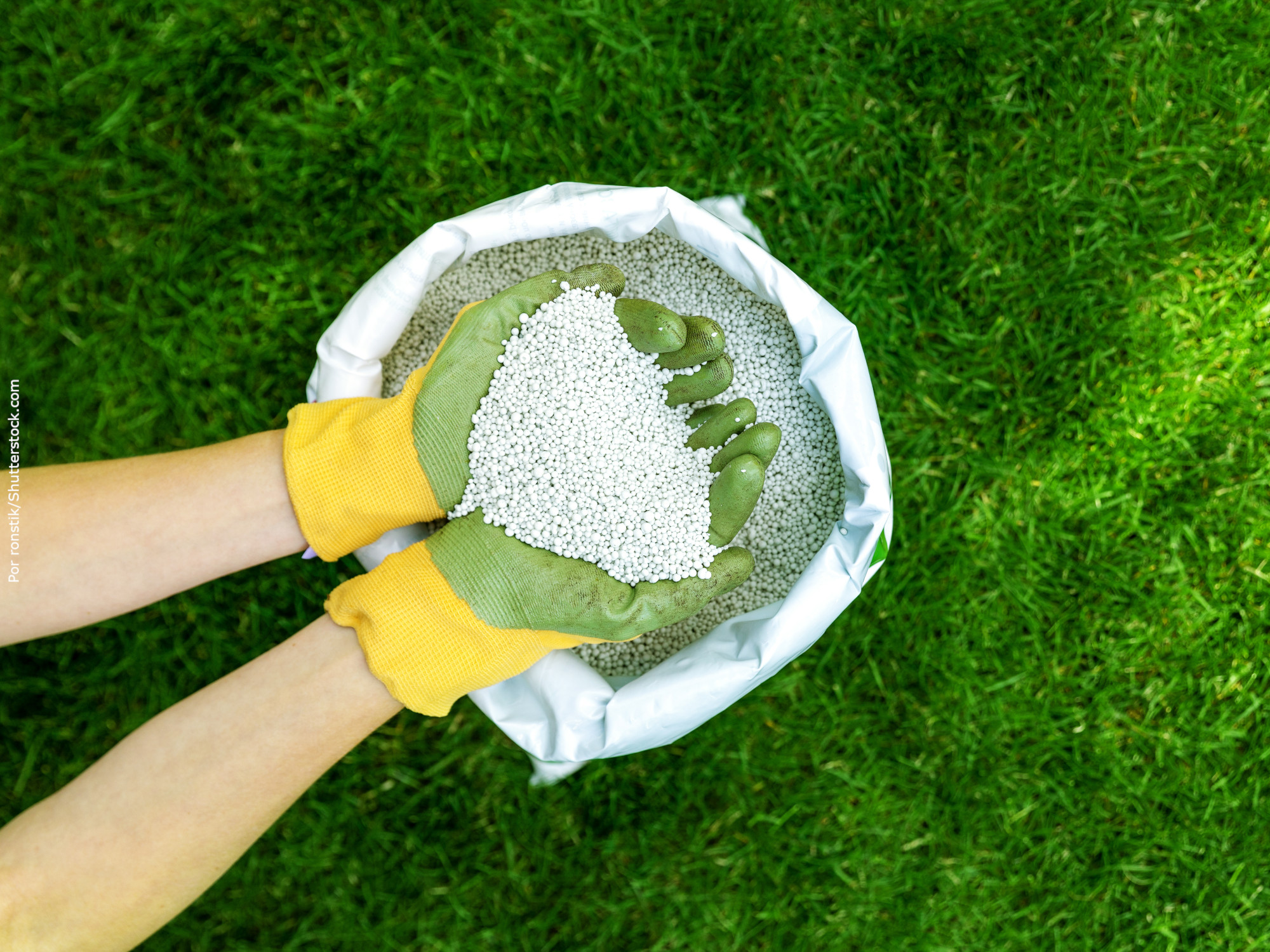 Amônia verde abre novas perspectivas para produção de fertilizantes e transporte marítimo descarbonizado
