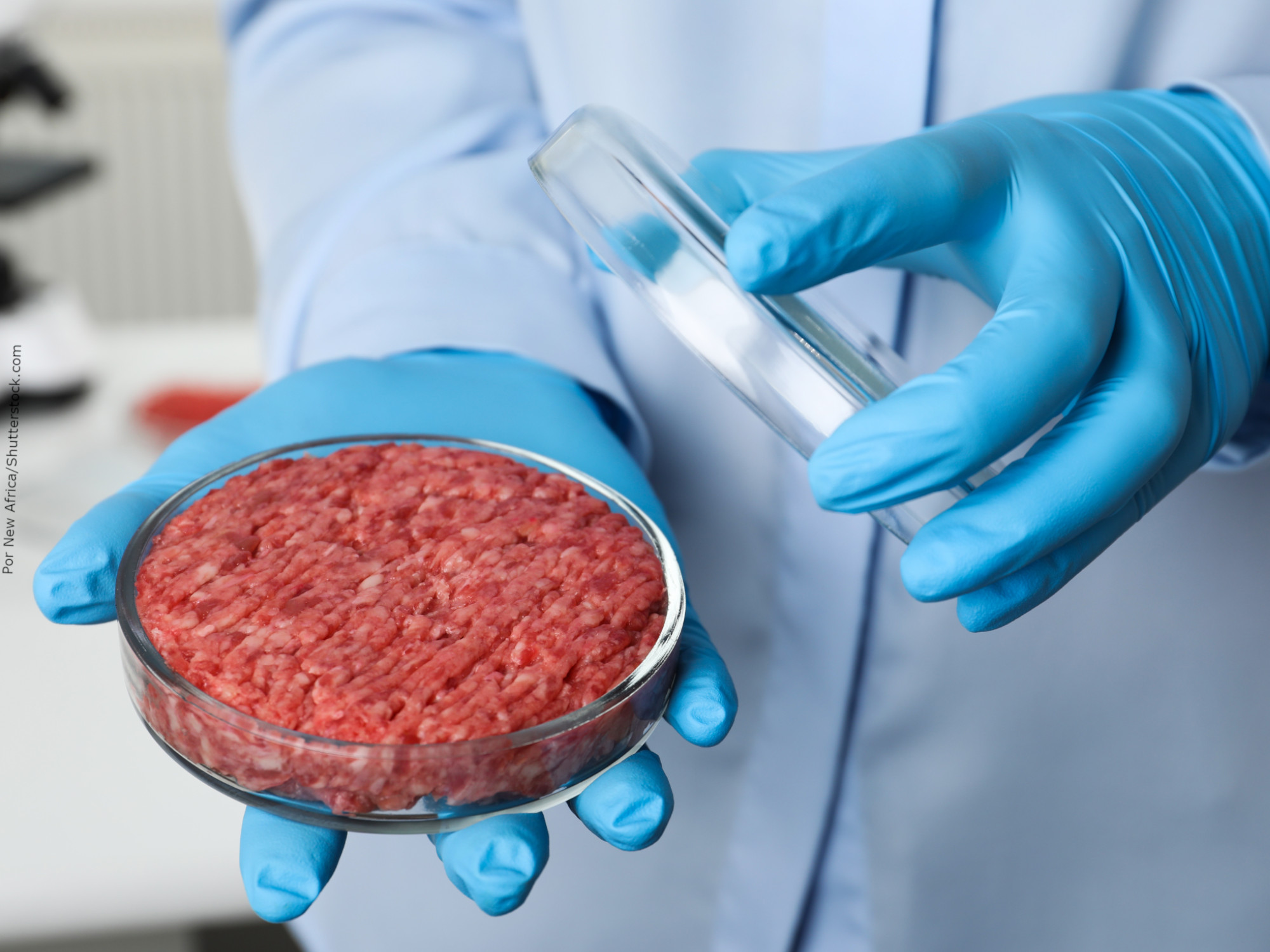 Carne produzida em laboratório é a nova arma para conter o aumento da temperatura do planeta