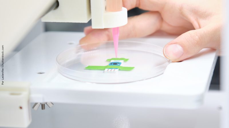 Pesquisadores criam biotecido a base de algas feito em impressora 3D