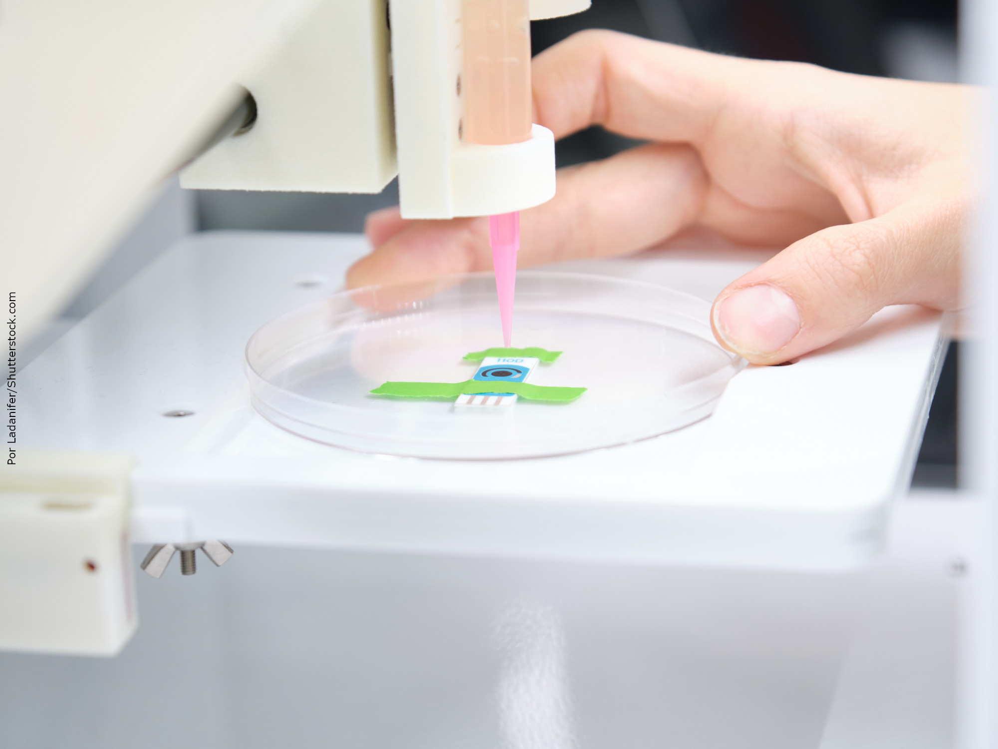 Pesquisadores criam biotecido a base de algas feito em impressora 3D