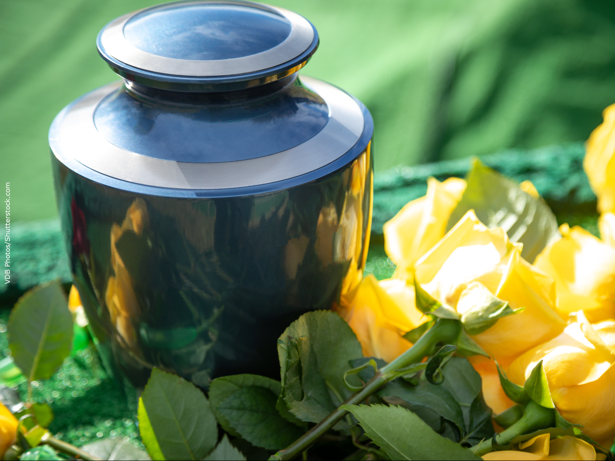 Aquamação: a alternativa ecológica de cremação escolhida por Desmont Tutu