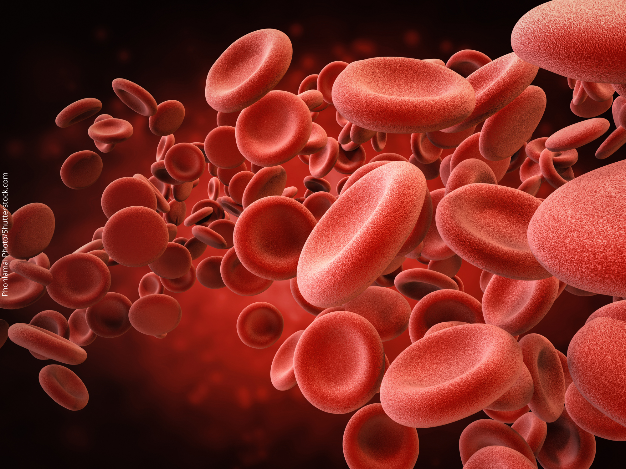 Pesquisas sobre o uso de nanopartículas para estancar sangramento por trauma mostram evolução