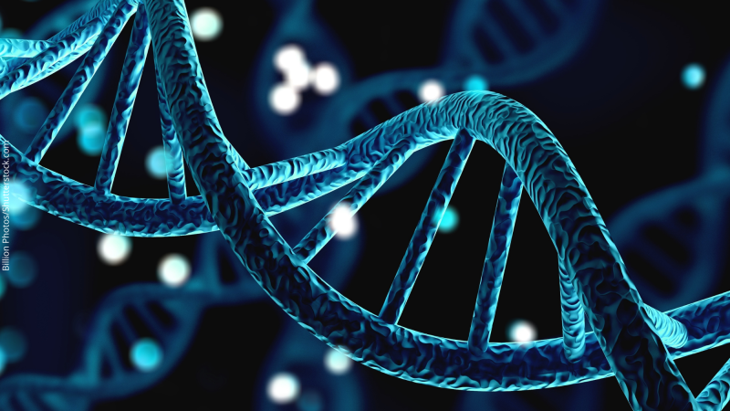 Sequenciamento completo do genoma humano é o início de uma nova era para a ciência