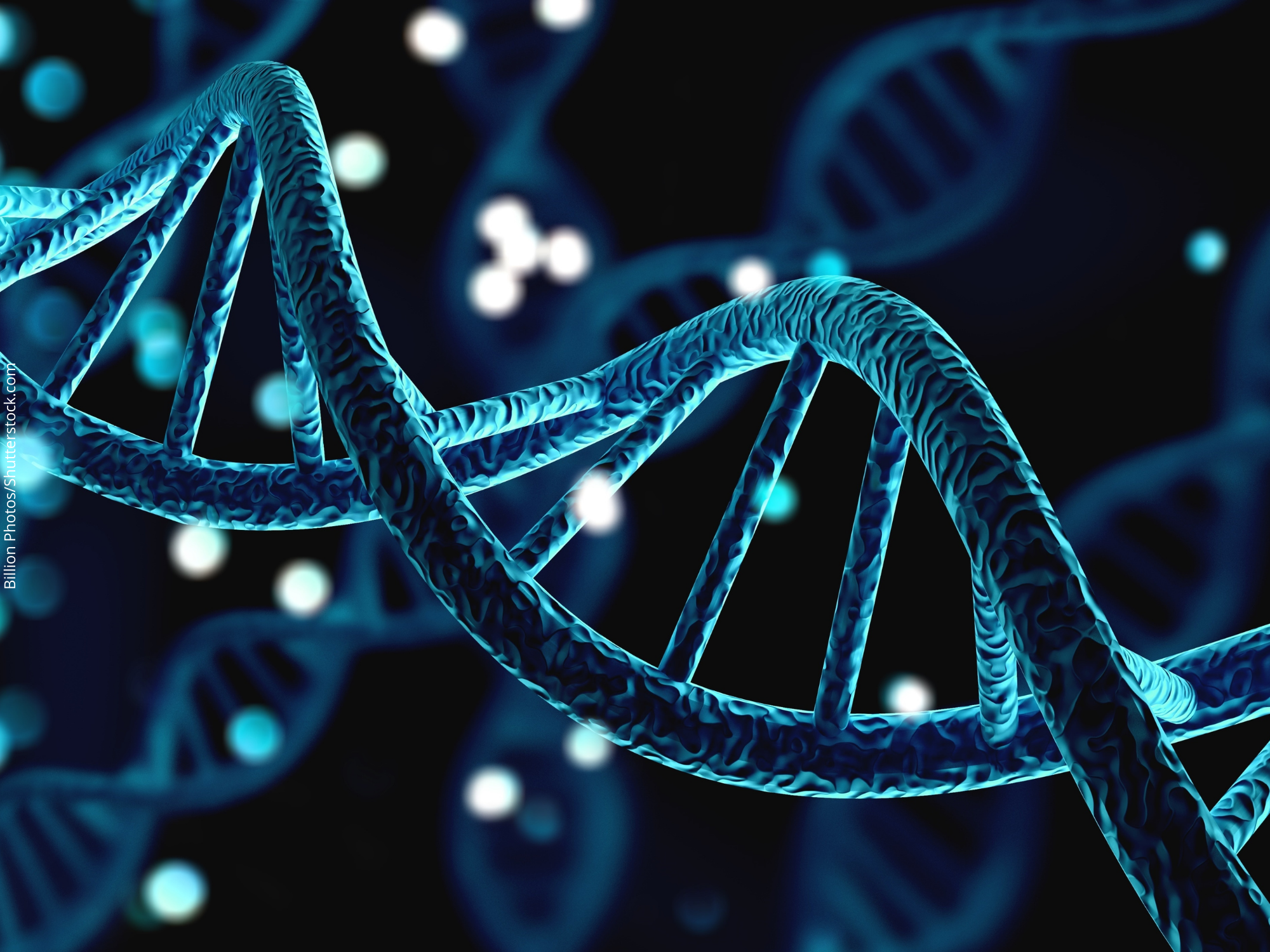 Sequenciamento completo do genoma humano é o início de uma nova era para a ciência