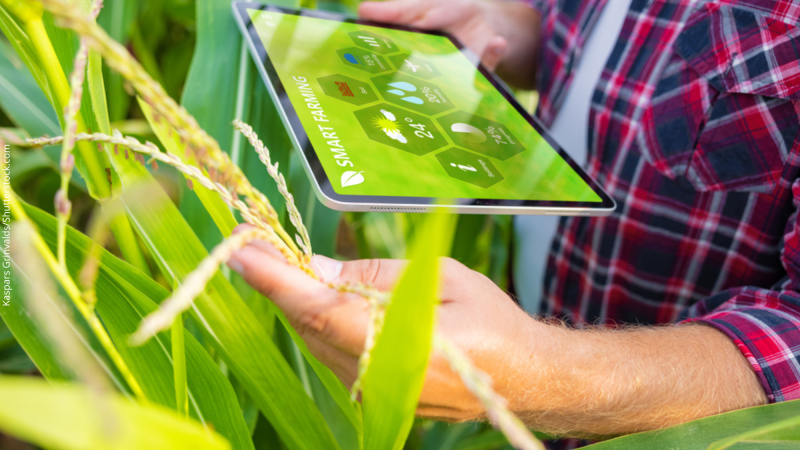 Bits no prato? Sim, a tecnologia digital chegou à alimentação