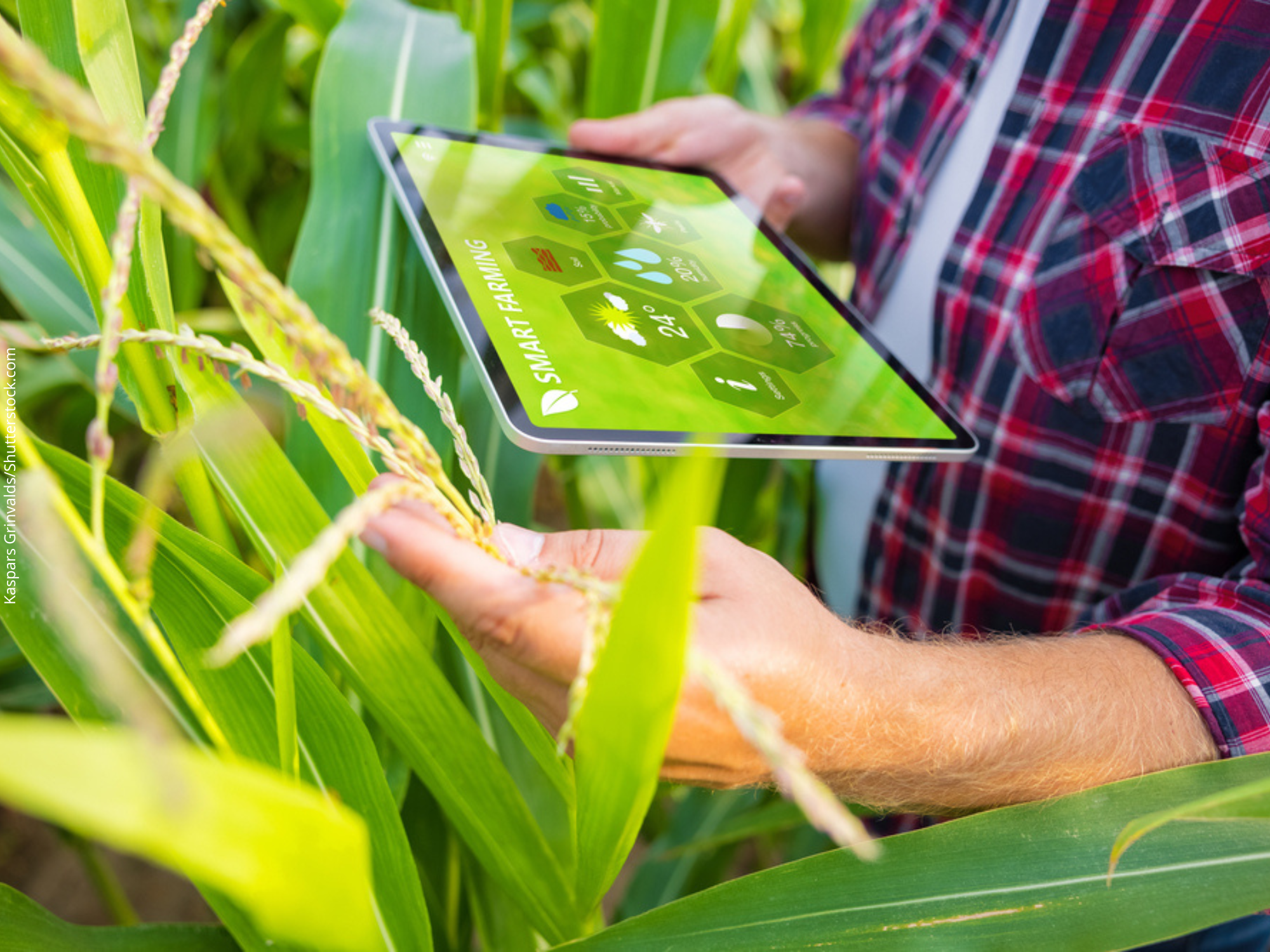 We don’t eat bits or bites, but digital technology is increasingly present in food