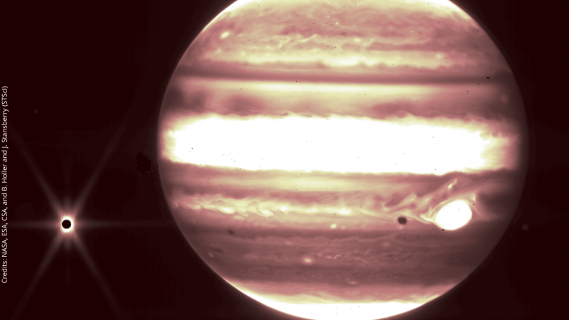 Eyes on Jupiter: the past and future of Earth’s existence