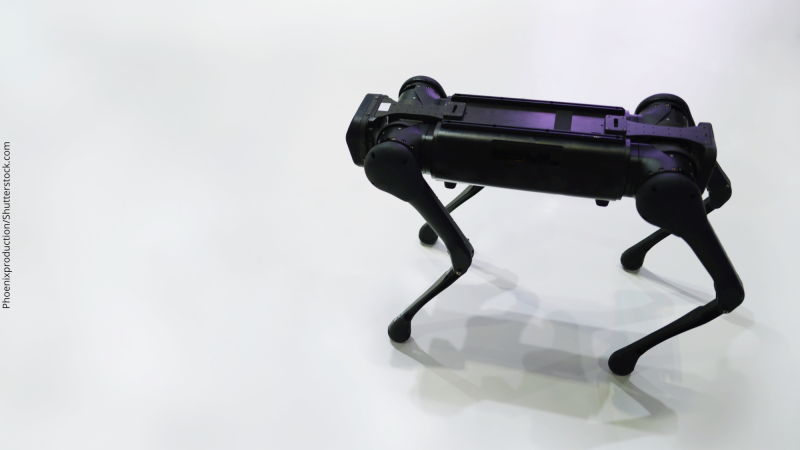 Rock in Rio: cão robô para garantir segurança