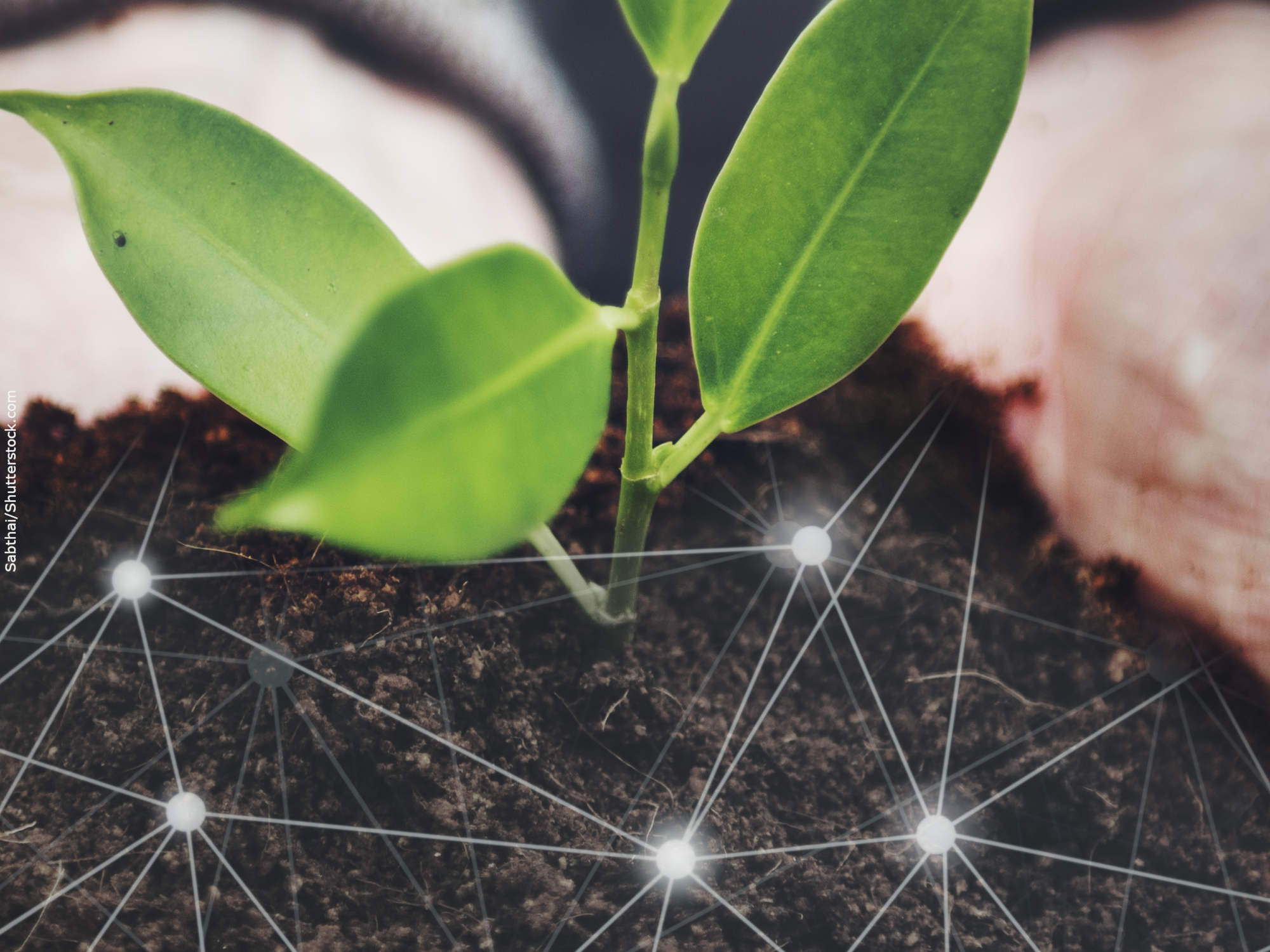 Satélites são novos aliados da agricultora sustentável. Por que não pensamos nisso antes?