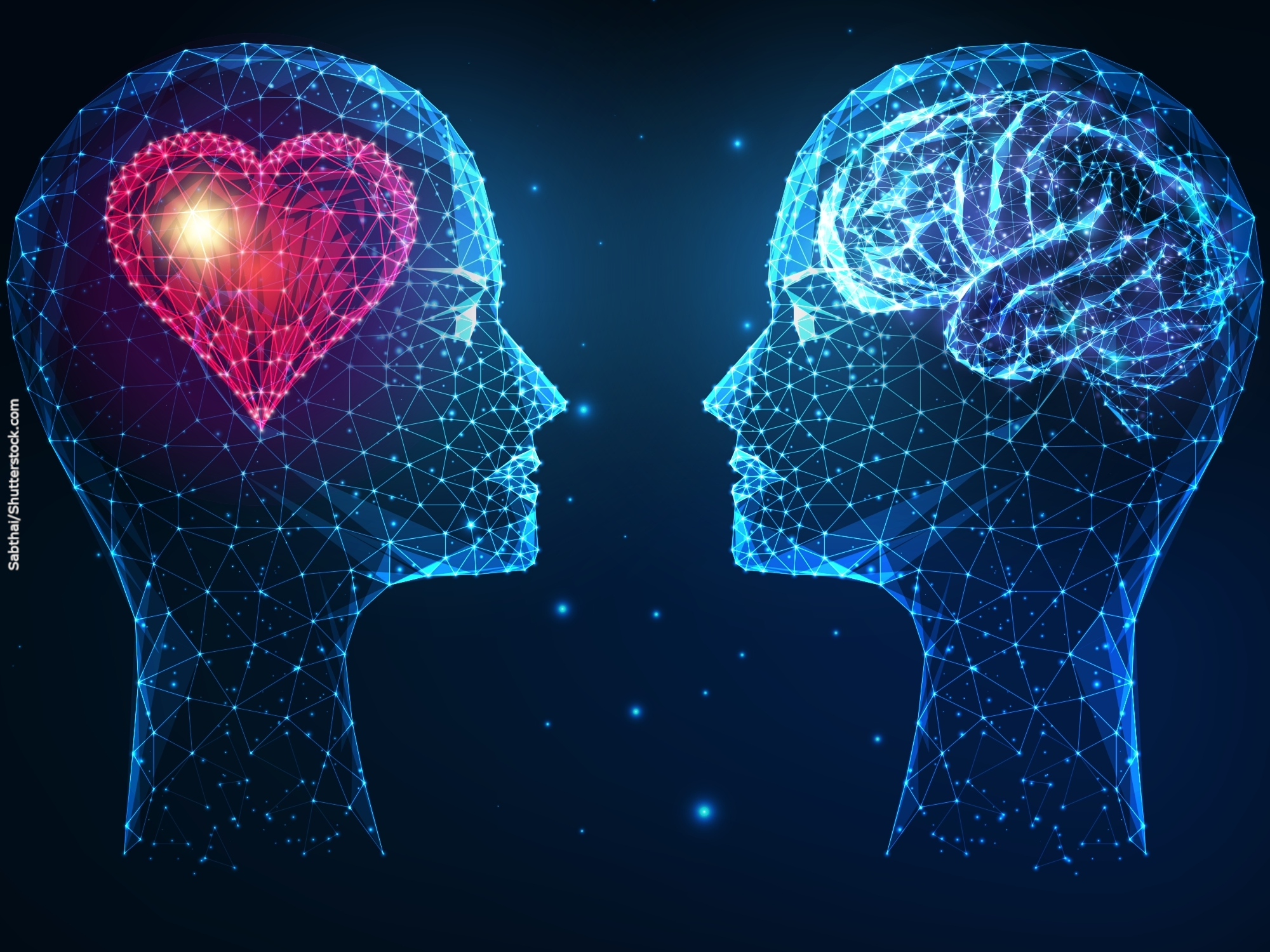 Disruptive discovery about the formation of emotions in the brain